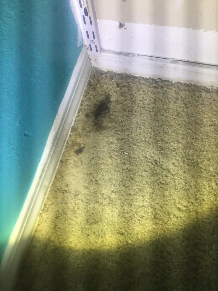 Slide of Dunrite Plumbing