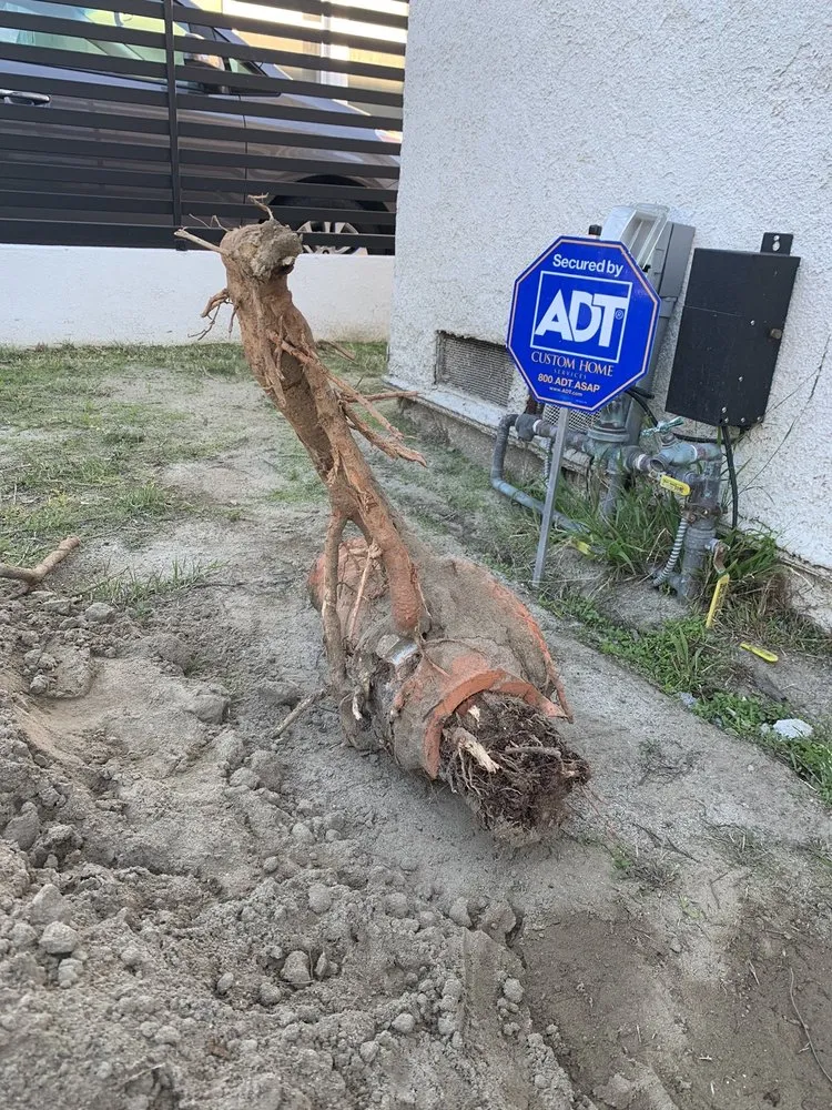 Trusted drain cleaning for homes in North Hollywood, CA by Duron Rooter Plumbing services