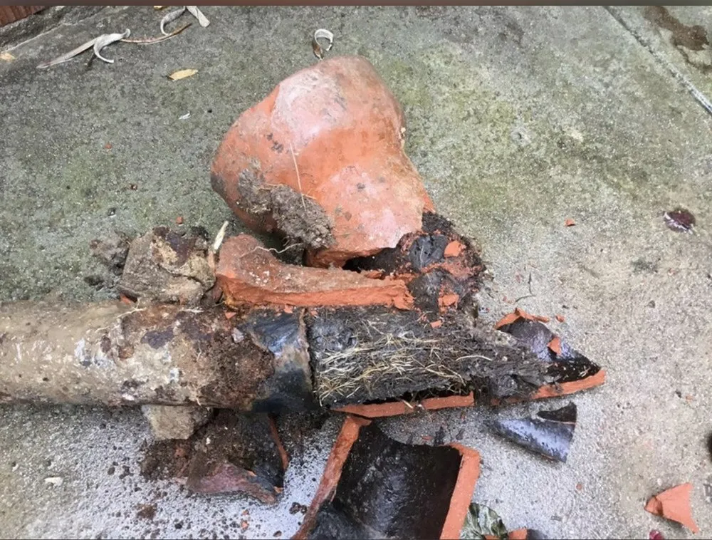 Slide of Duron Rooter Plumbing services