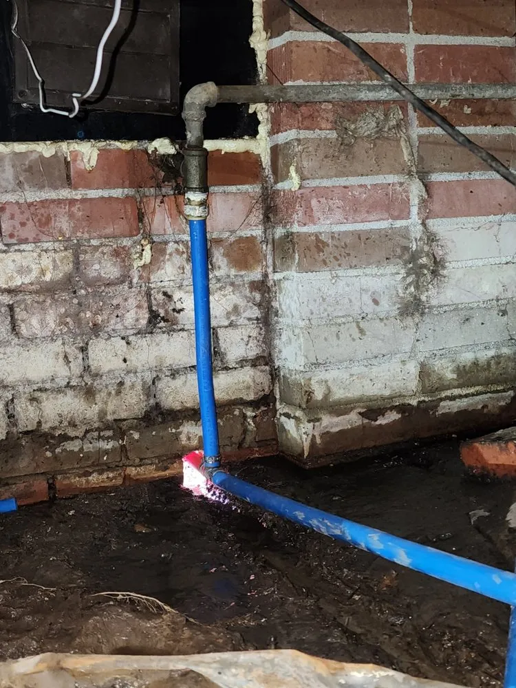 Slide of Dustie  Handyman