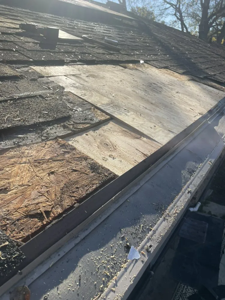 Slide of Dustin Louis Hall