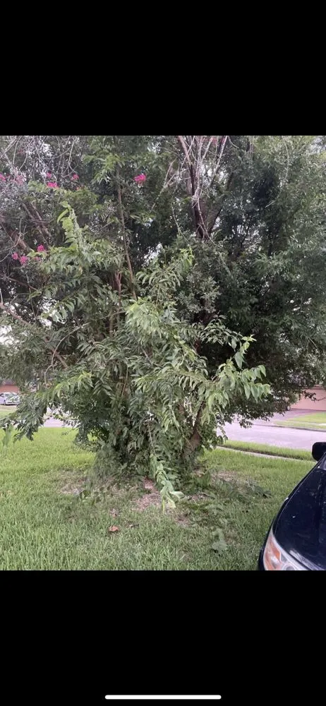 Slide of Dustin Louis Hall