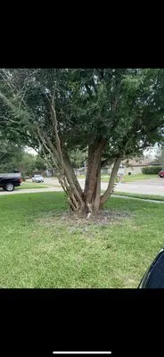 Dustin Louis Hall Logo