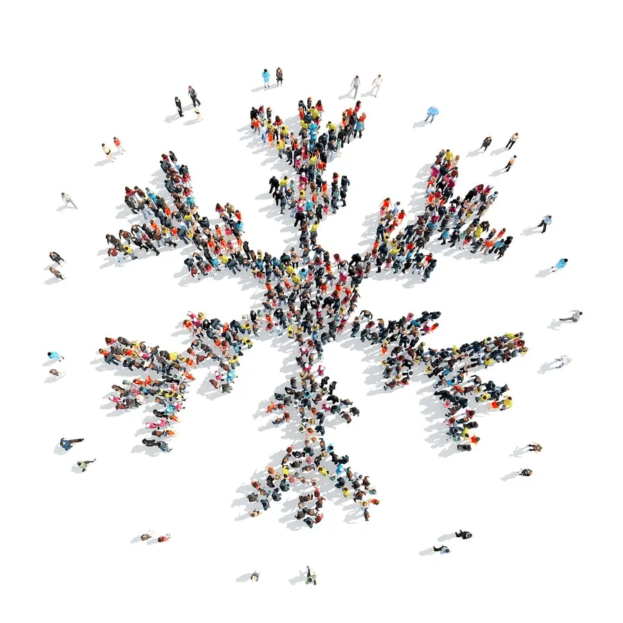 Slide of DVK Service