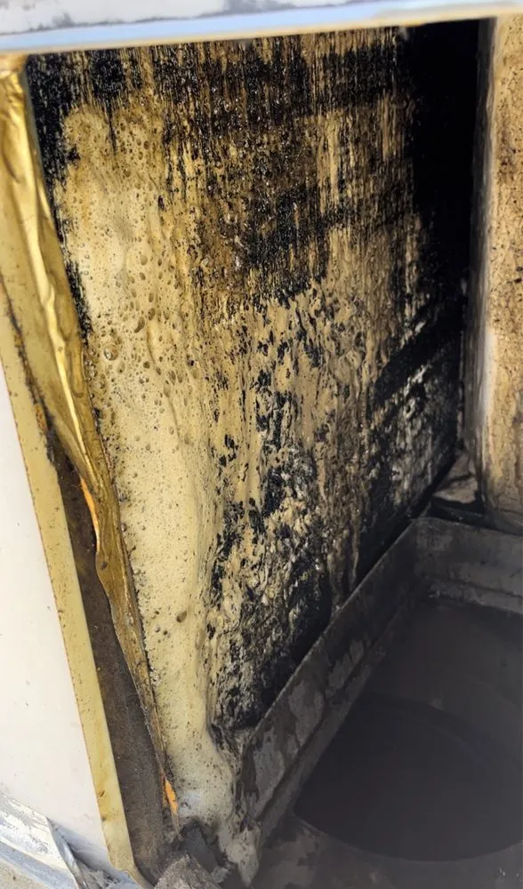 Slide of DVK Service