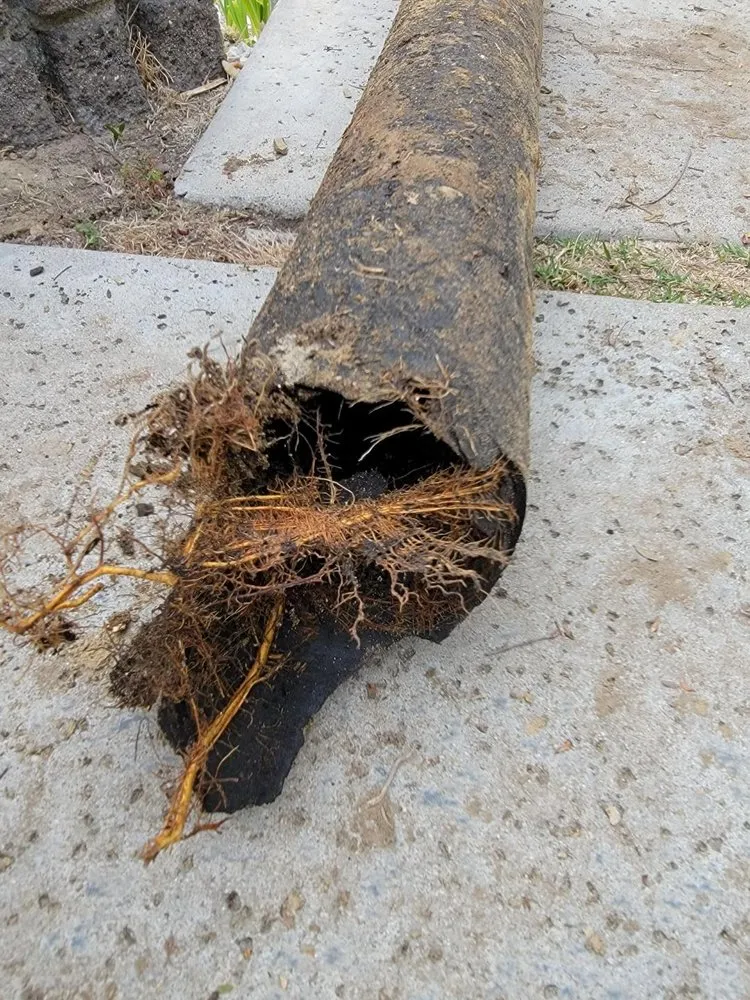 Slide of DX Plumbing and Hydro Jetting