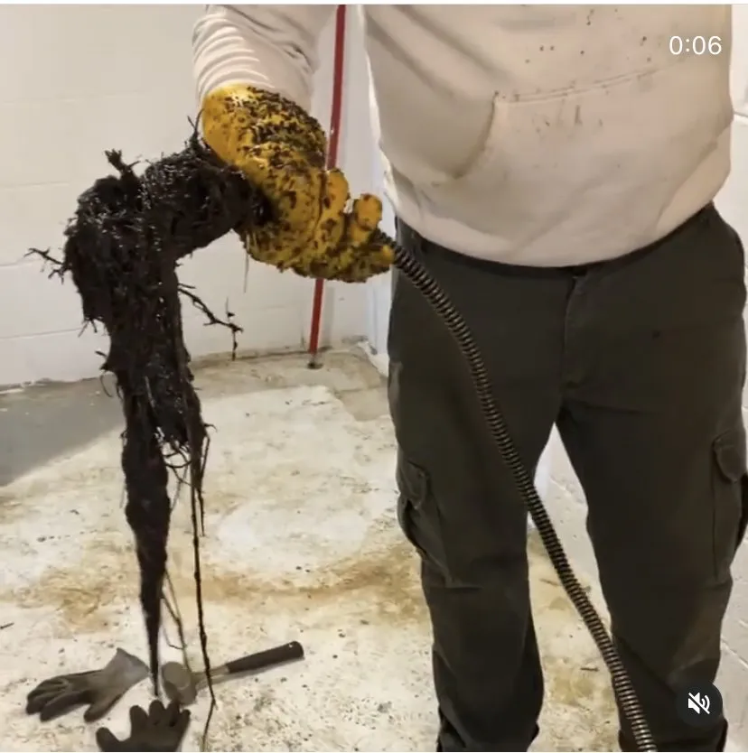 Slide of Dxd Services