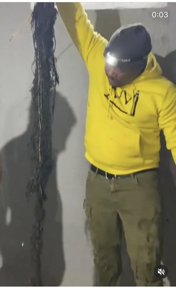 Slide of Dxd Services