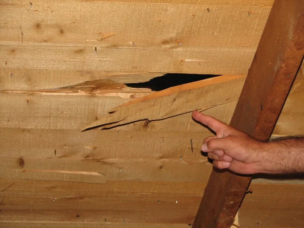 Reliable emergency plumbing in Riverside, CA by Dylans Plumbing Group