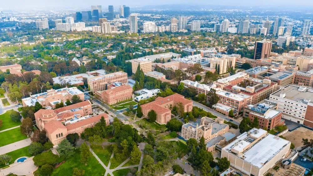 Slide of DynaMech Solutions