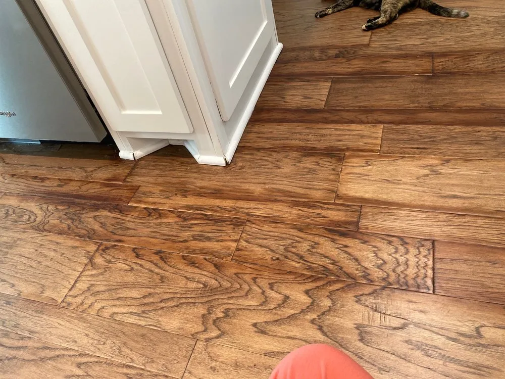 Slide of Dynamic Drains Plumbing & Drain Experts