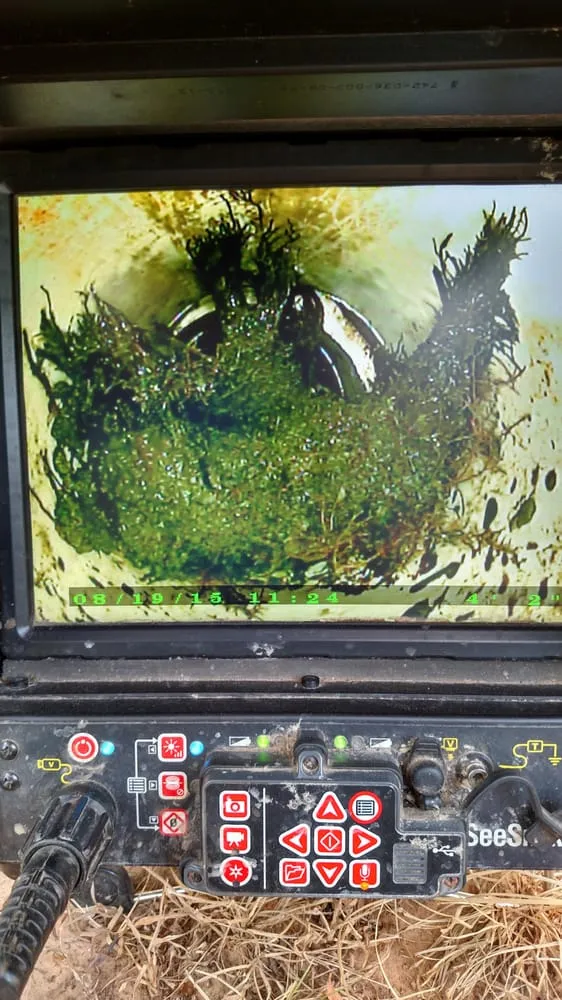 Slide of Dynamic Drains Plumbing & Drain Experts