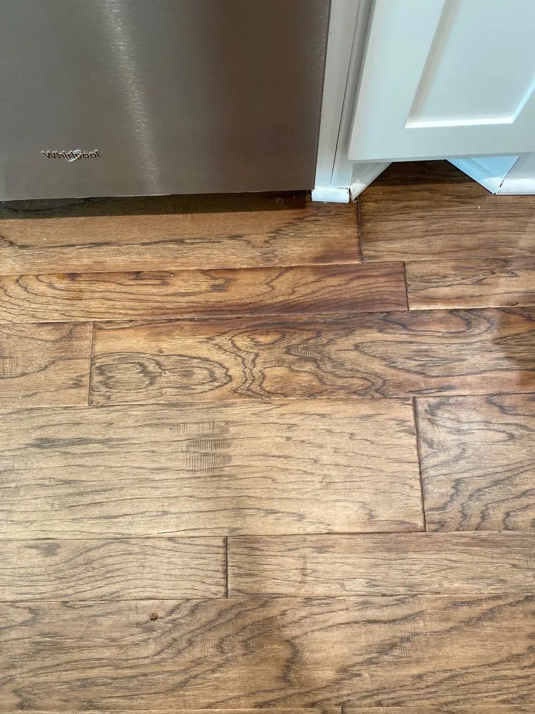 Slide of Dynamic Drains Plumbing & Drain Experts