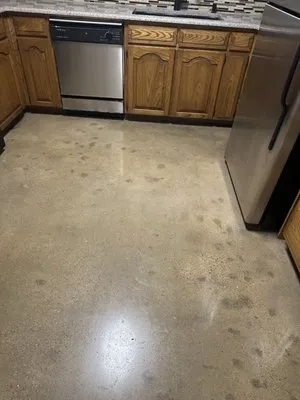 Dynamic Home Services Logo