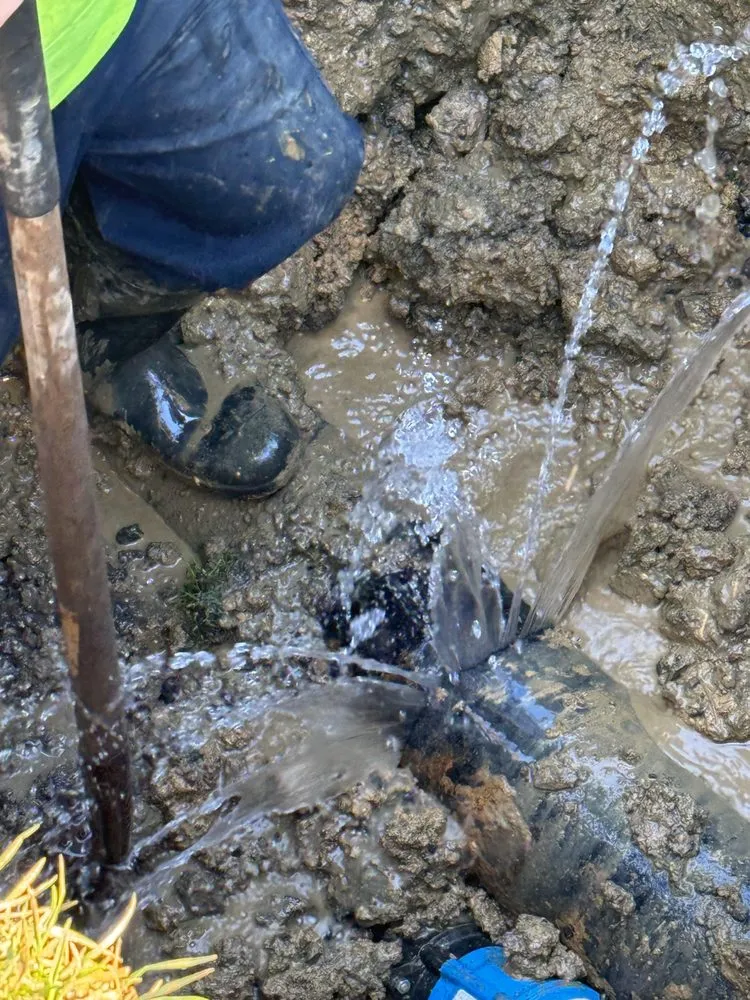 Slide of Dynamic Leak Response