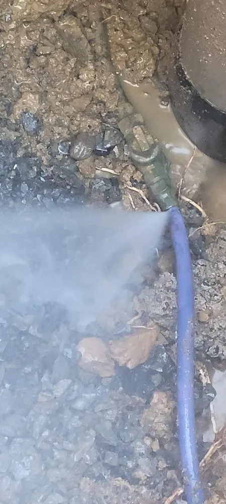 Slide of Dynamic Leak Response