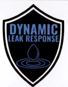 Slide of Dynamic Leak Response