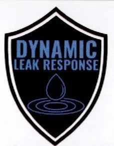 Slide of Dynamic Leak Response