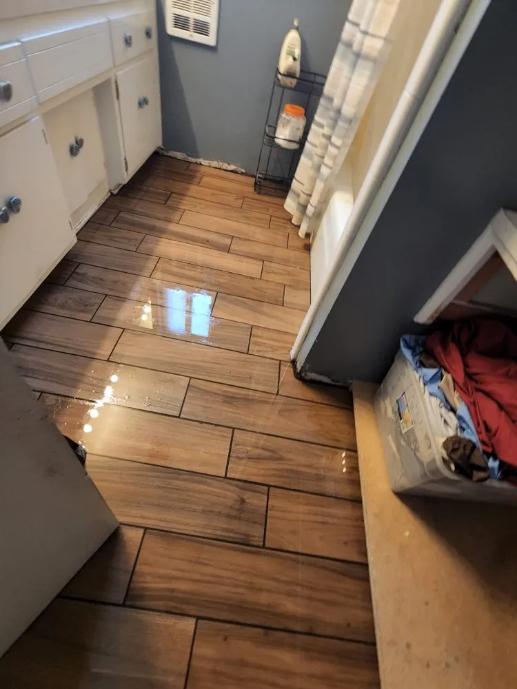 Slide of Dynamic Plumbing & Flood Remediation