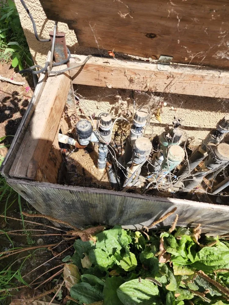 Slide of Dynamic Plumbing & Flood Remediation