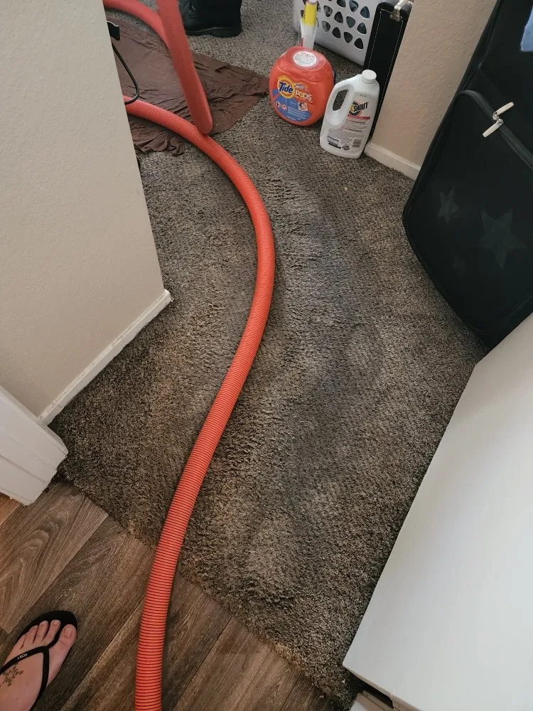 Slide of Dynamic Plumbing & Flood Remediation