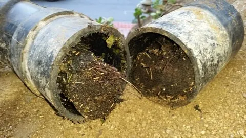 Slide of Dynamite Plumbing