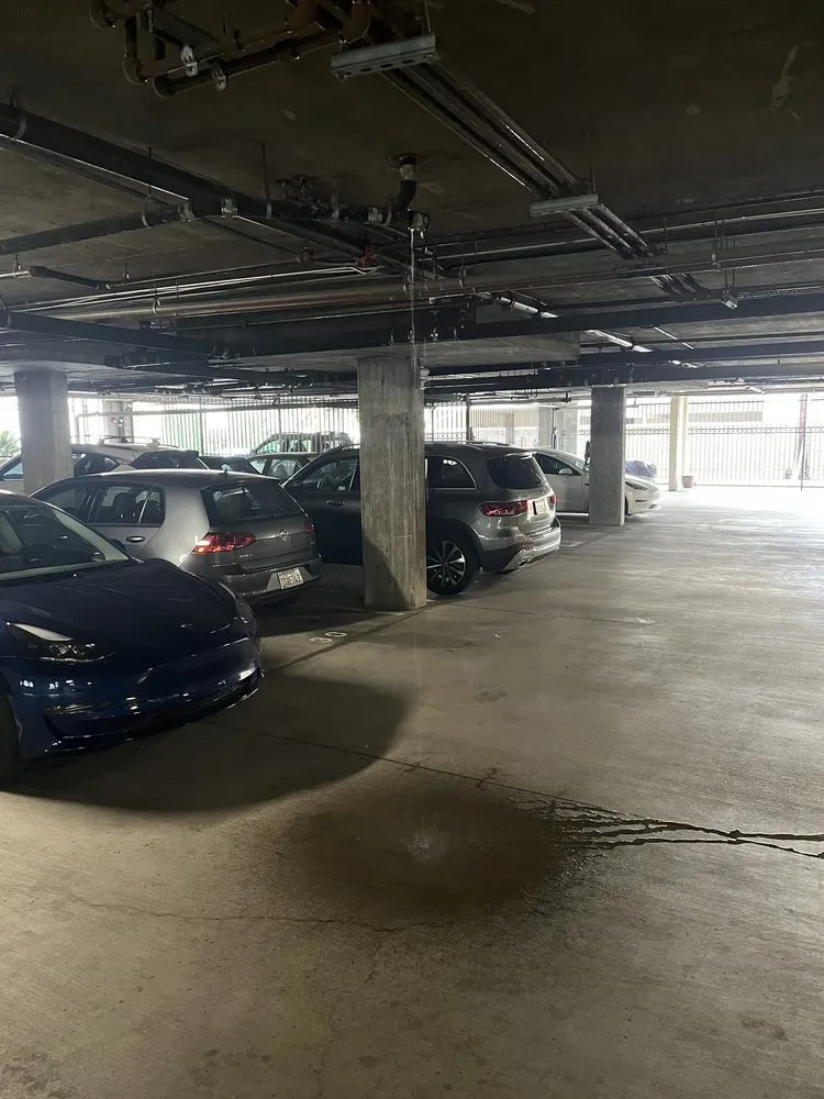 Slide of Dynamite Plumbing