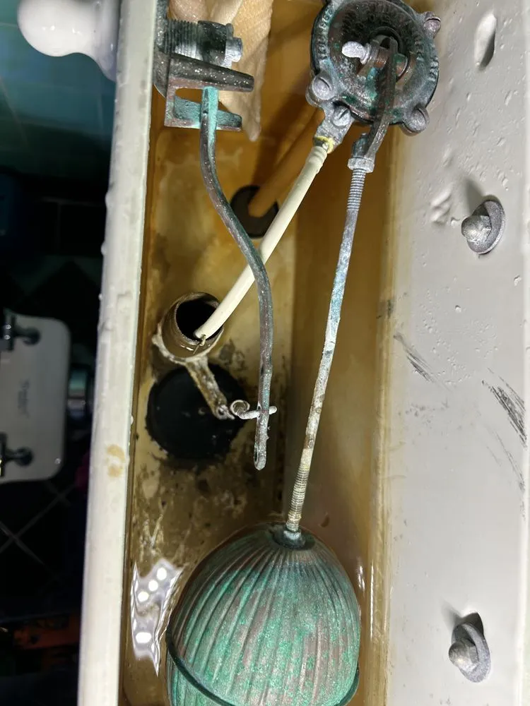 Reliable drain cleaning in West Covina, CA by Dynamo Plumbing & Drain Cleaning