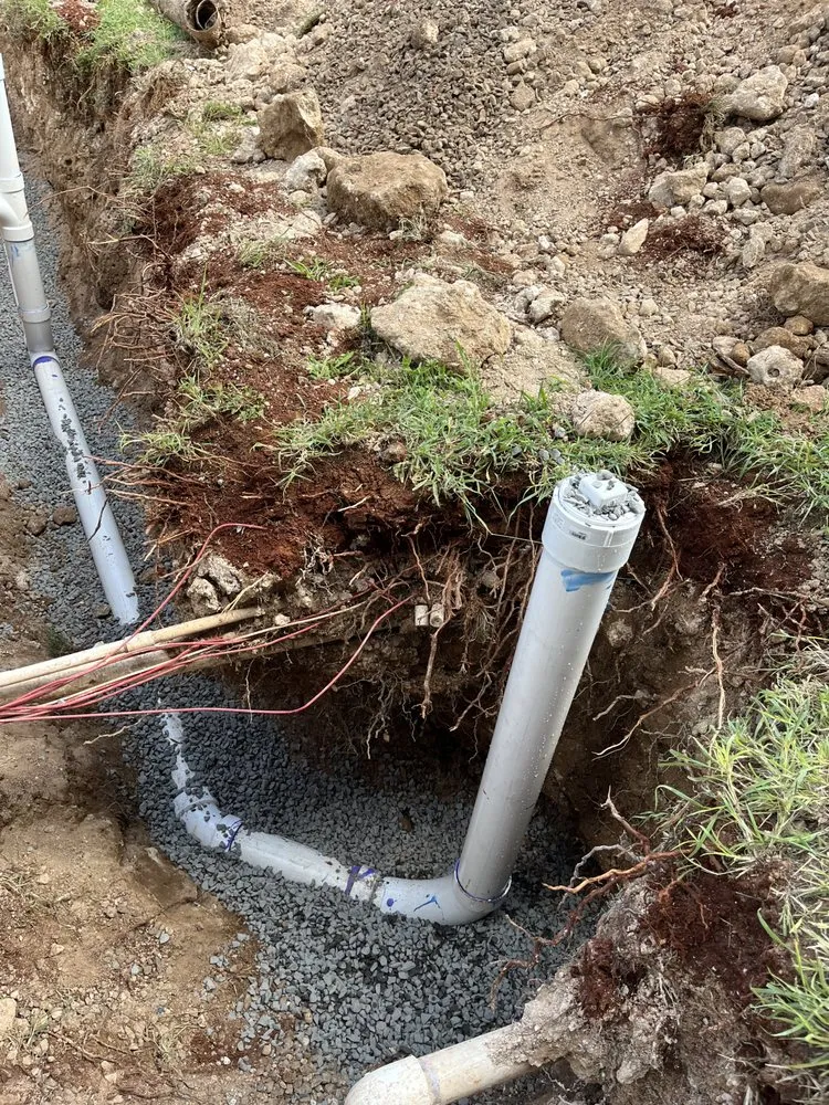 Slide of Dynasty Plumbing