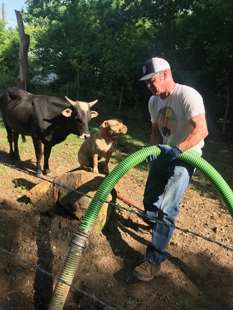 Slide of Dynasty Septic