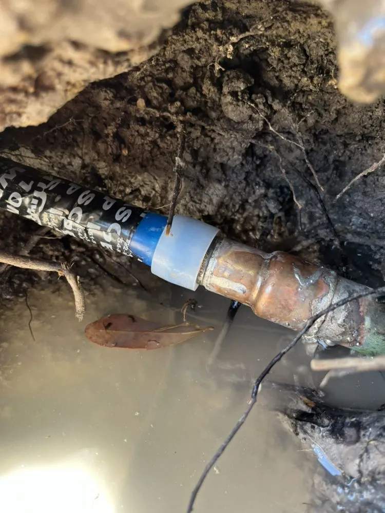 Slide of Dyson Plumbing