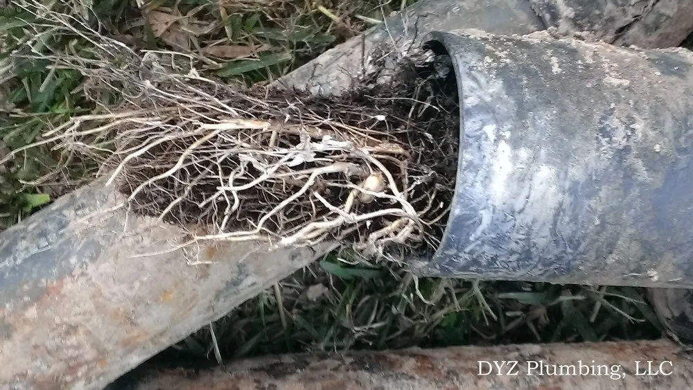 Slide of DYZ Plumbing