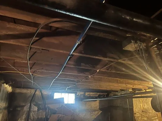 E and N Preservation