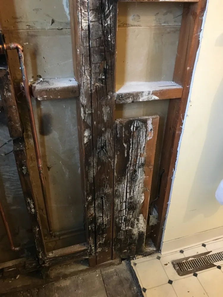 Expert drain cleaning for homes in Concord, CA by E J and A Handyman and Remodeling Services