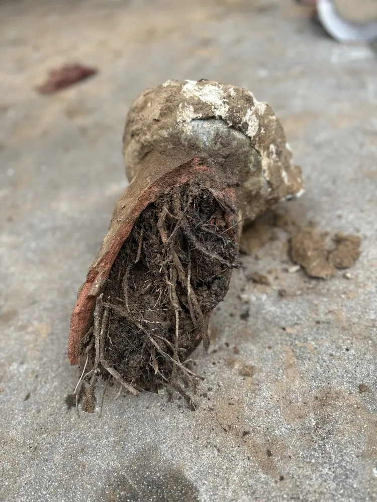 Slide of E-Z Flow Rooter & Plumbing