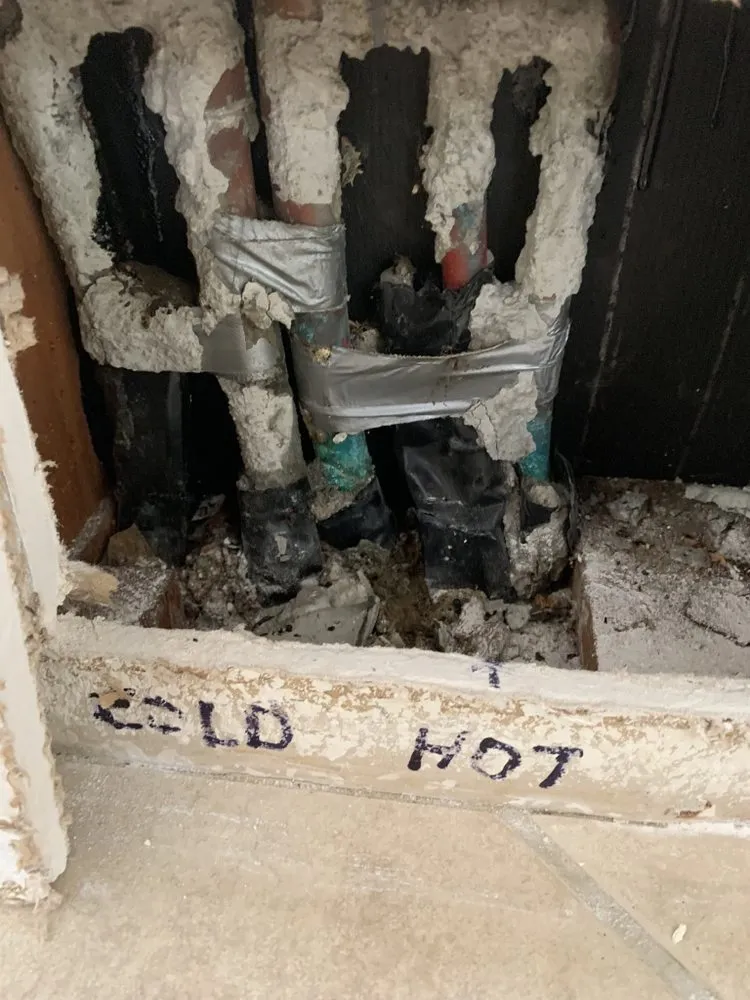 Slide of Eagle Eye Detections