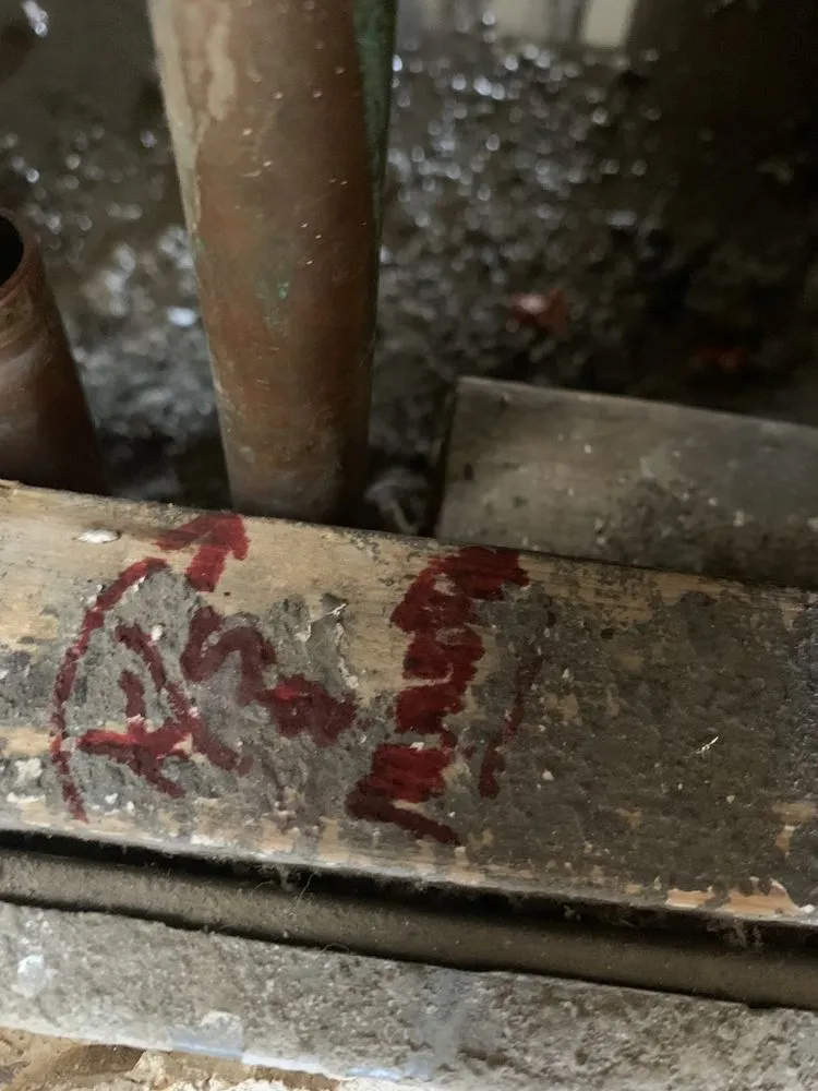 Slide of Eagle Eye Detections