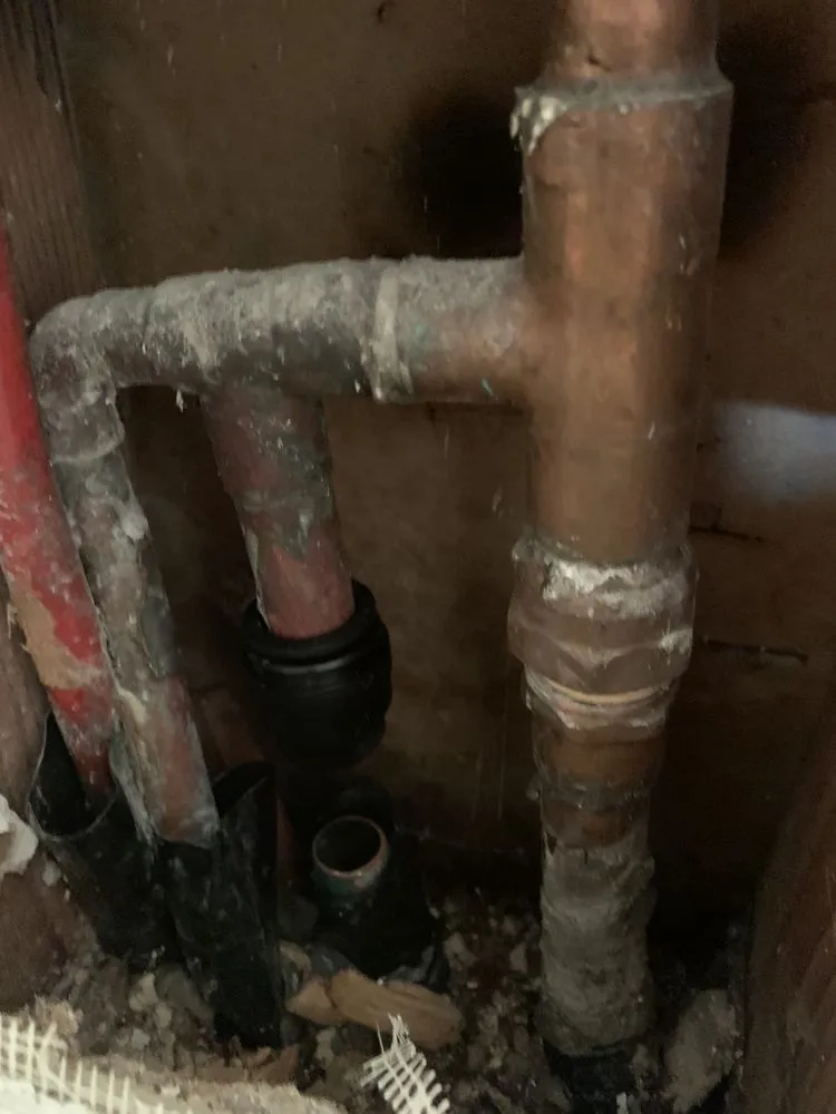 Slide of Eagle Eye Detections