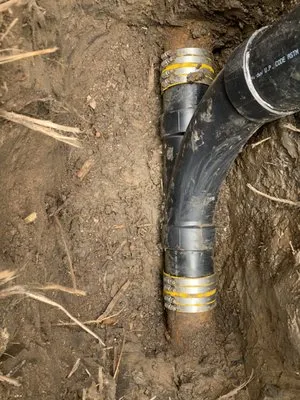 Eagle Eye Detections Logo