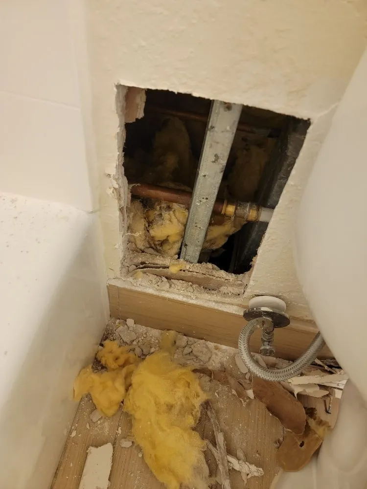 Expert emergency plumbing service in Orlando, FL - Eagle Renovation Services