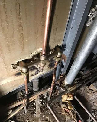 Earl's Plumbing Logo