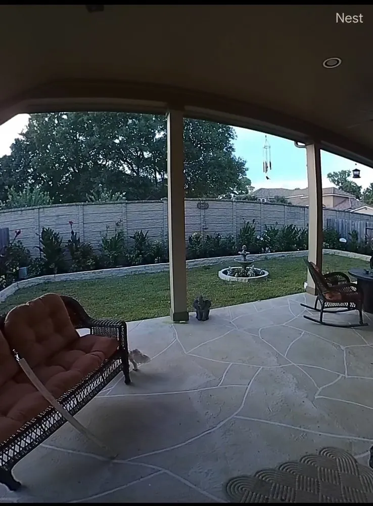 Slide of Earth Ideas Outdoors