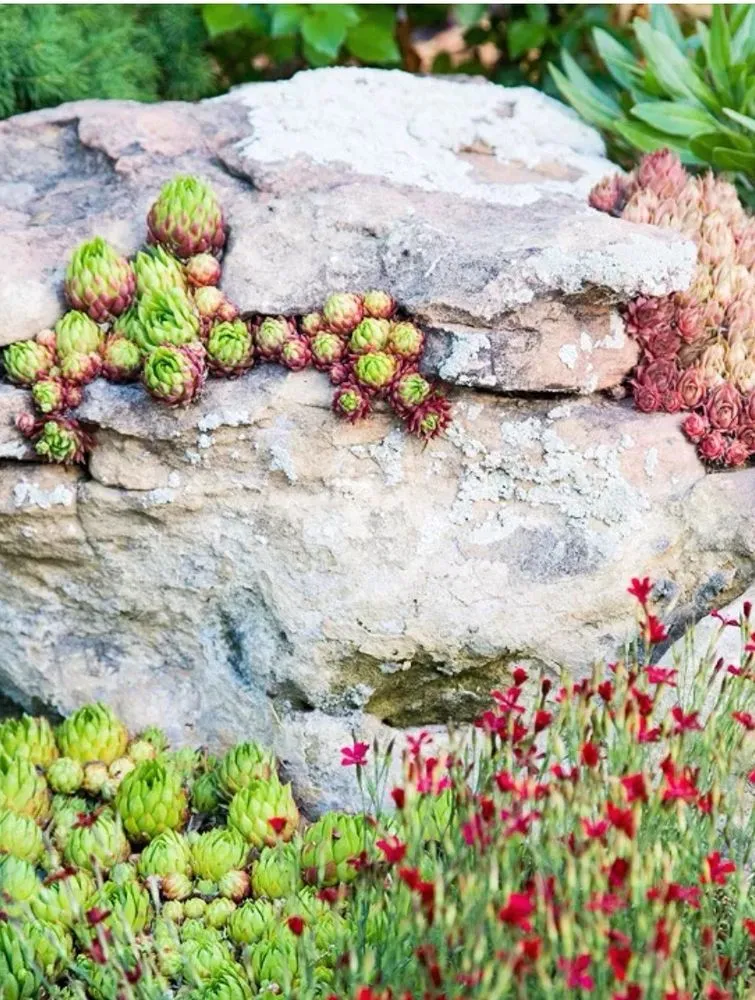 Slide of Earthbender Excavation