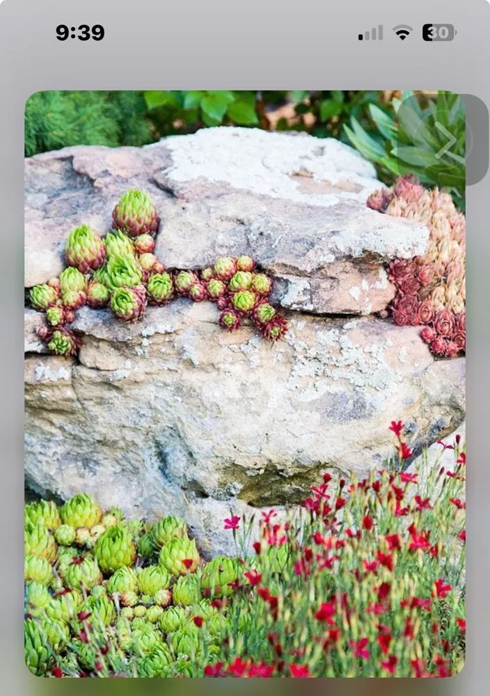 Slide of Earthbender Excavation