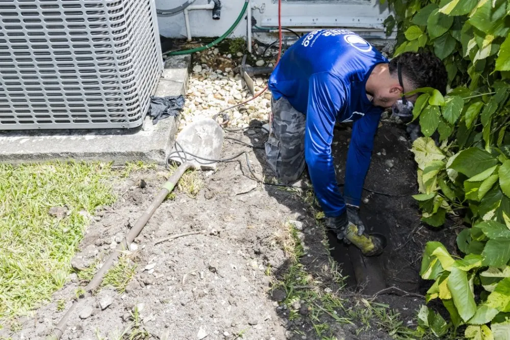 Slide of Earthbusters