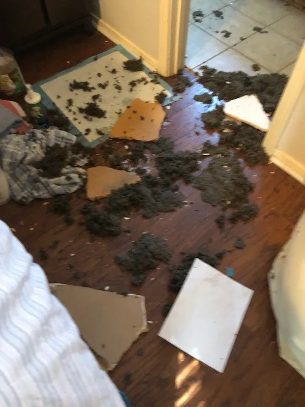 Slide of Earthwise Home Services