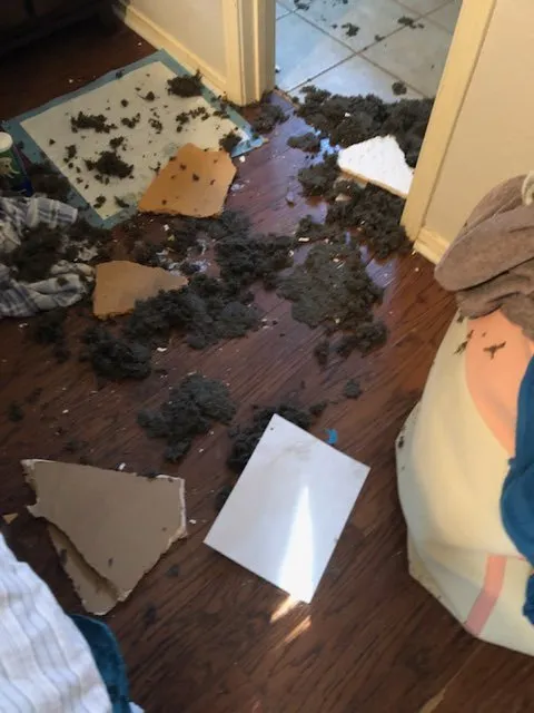 Slide of Earthwise Home Services