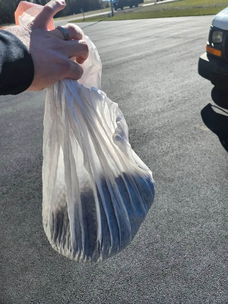 Slide of East Coast Plumbing, Heating & Air