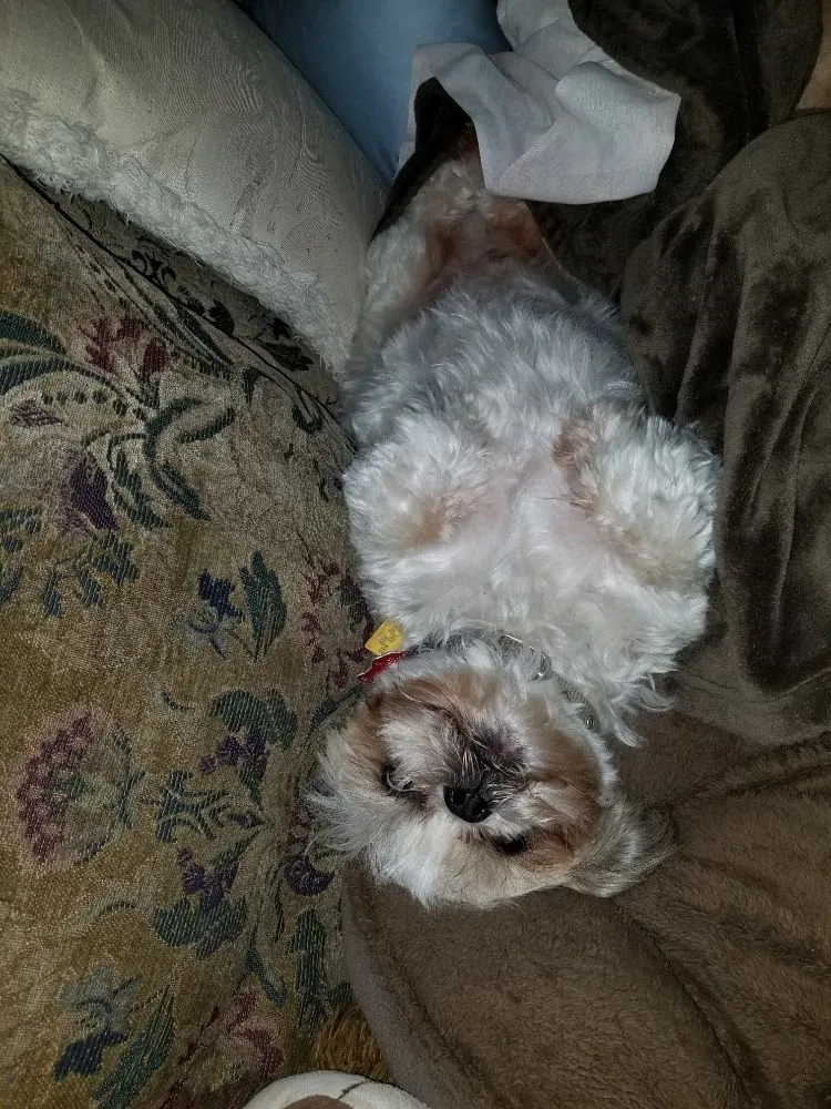 Emergency drain cleaning experts serving Apache Junction, AZ - East Valley Plumbing