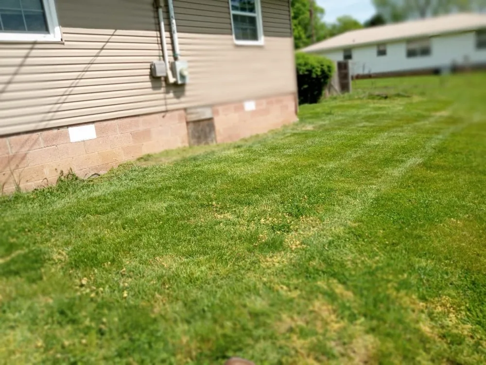 Slide of Easterday Emporium